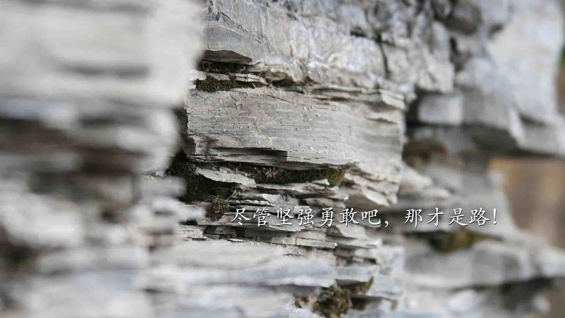 对决的艺术，当新王向旧秩序宣战，体育最迷人的底色不是胜负