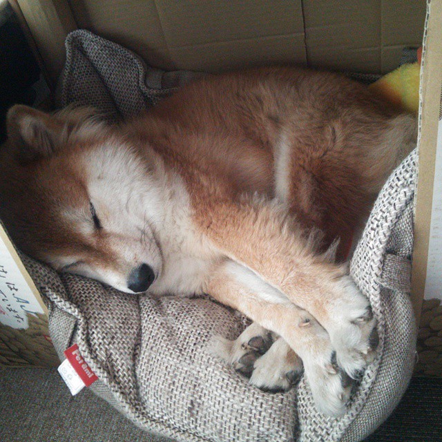 雷火电竞官网-安土重防锁蓝黑，灵光一现迪定乾坤