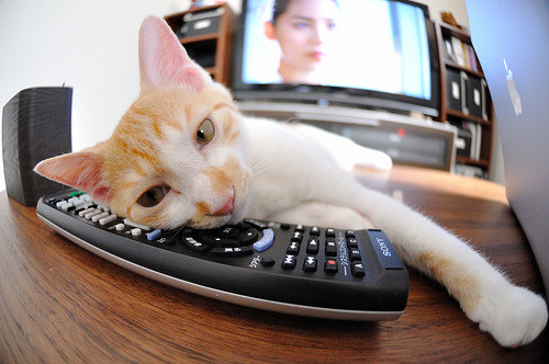 世界杯决战前夜，浙江万炮齐鸣，提前上演火力压制好戏