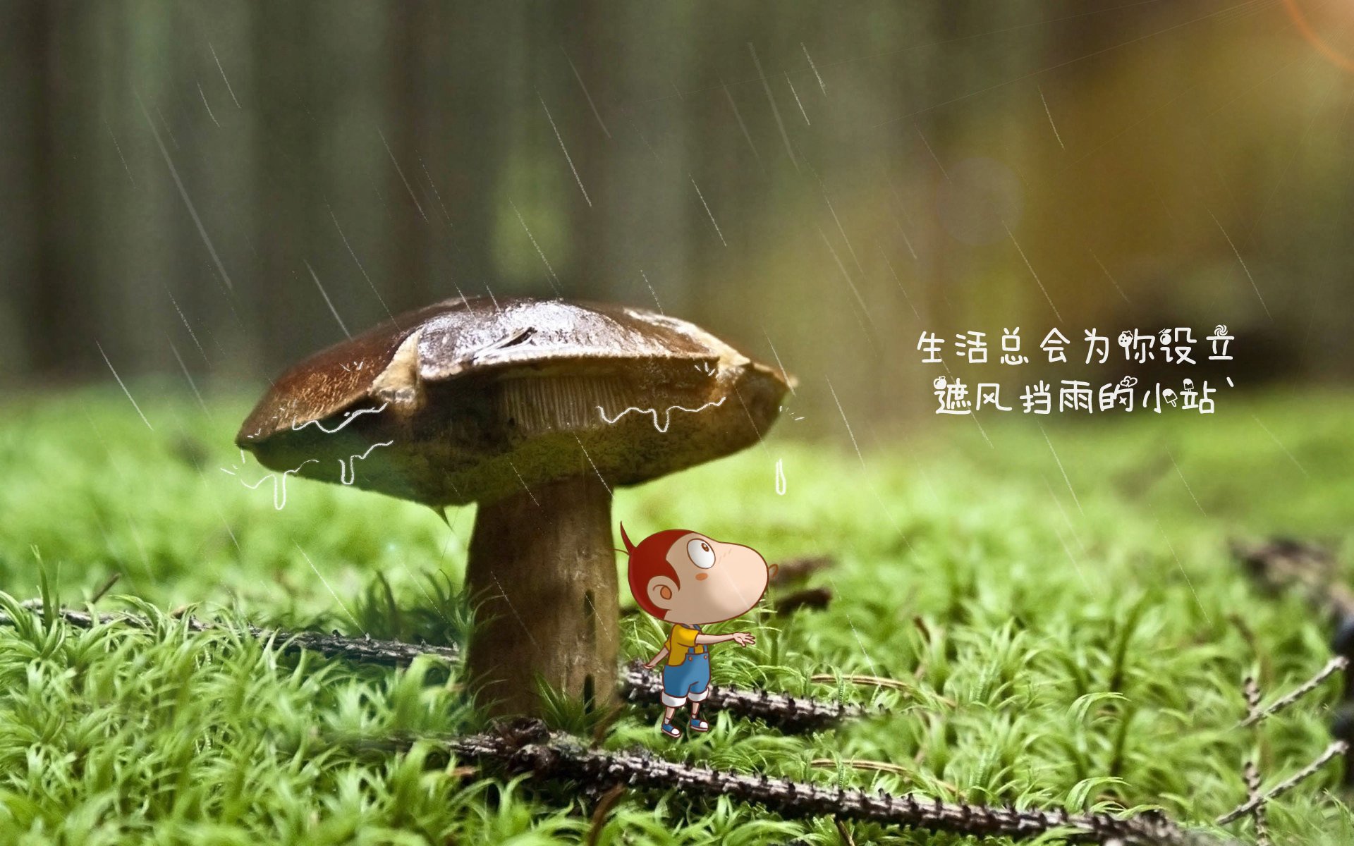 逆转之夜,佩德里书写中场新传奇,阿联酋门神铸就铁壁防线