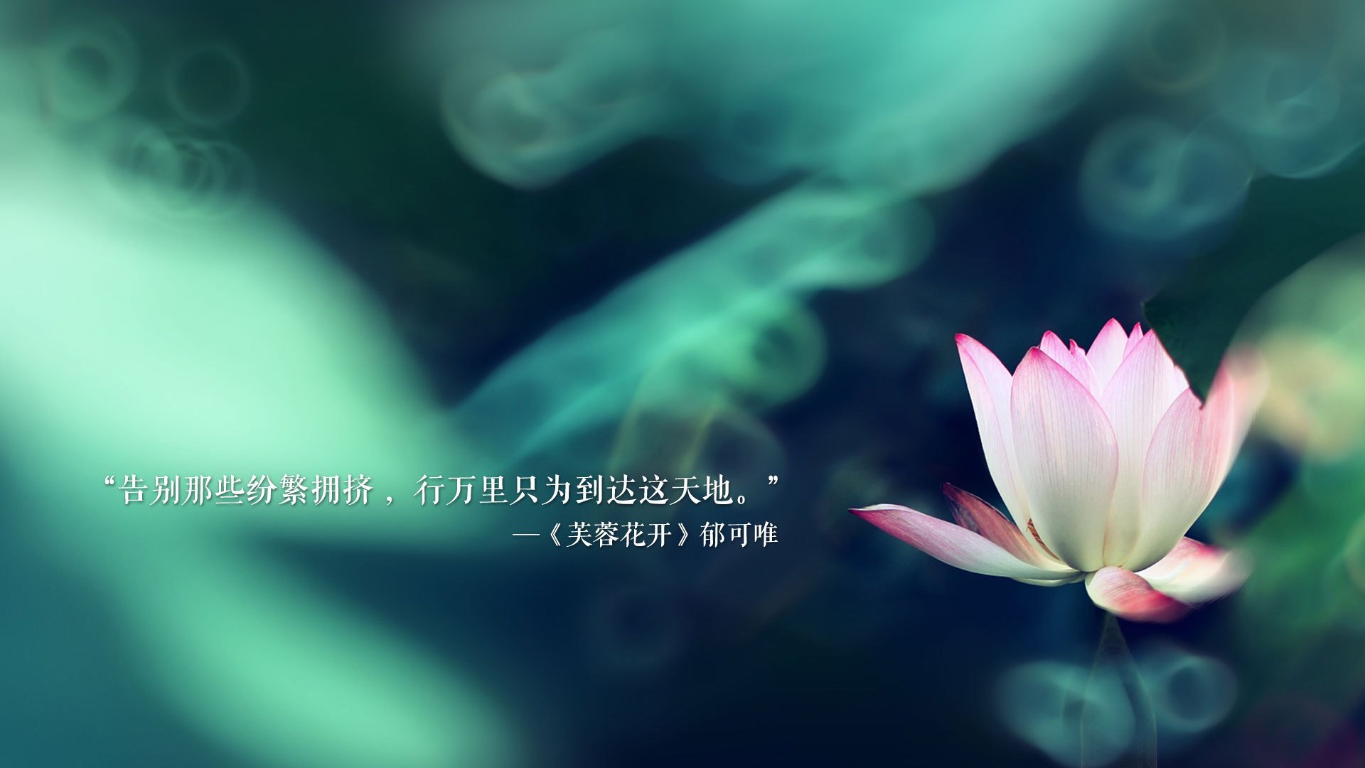 莱茵河巨兽的咆哮,当波兰碾压了潘帕斯之鸟,穆西亚拉的致命一击如何书写世界杯新王座